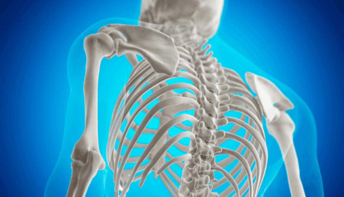 Titelbild Osteoporose